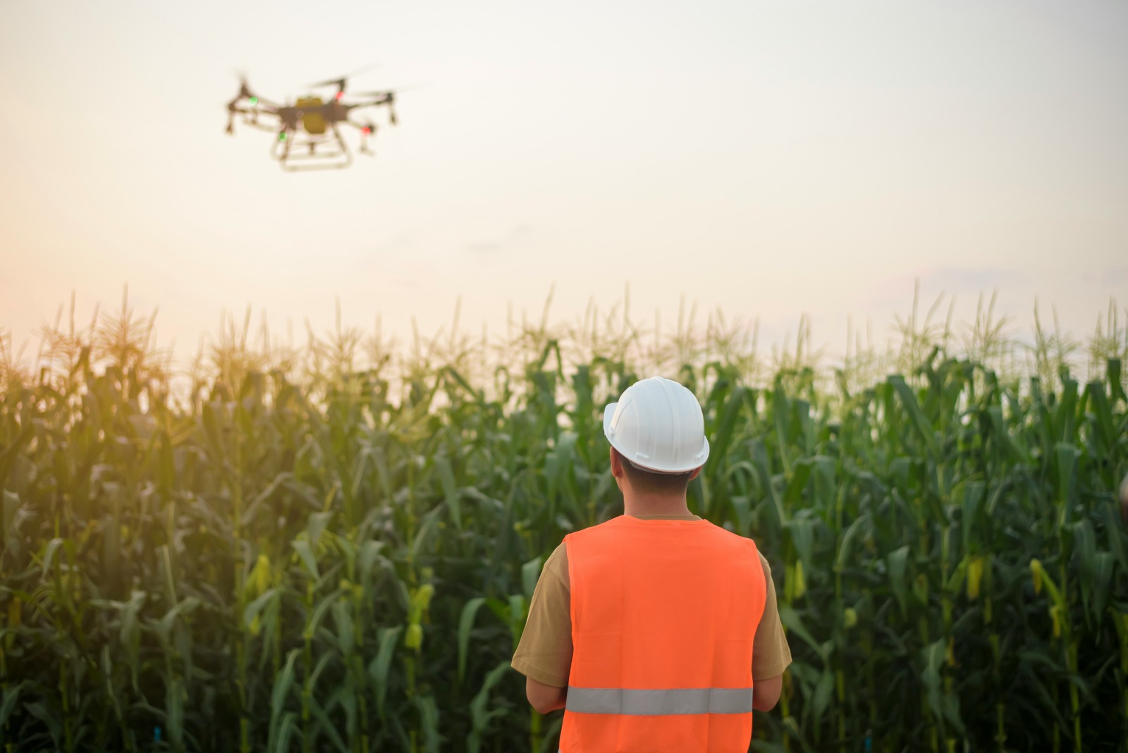 Impact Through Access in the Middle East & Africa