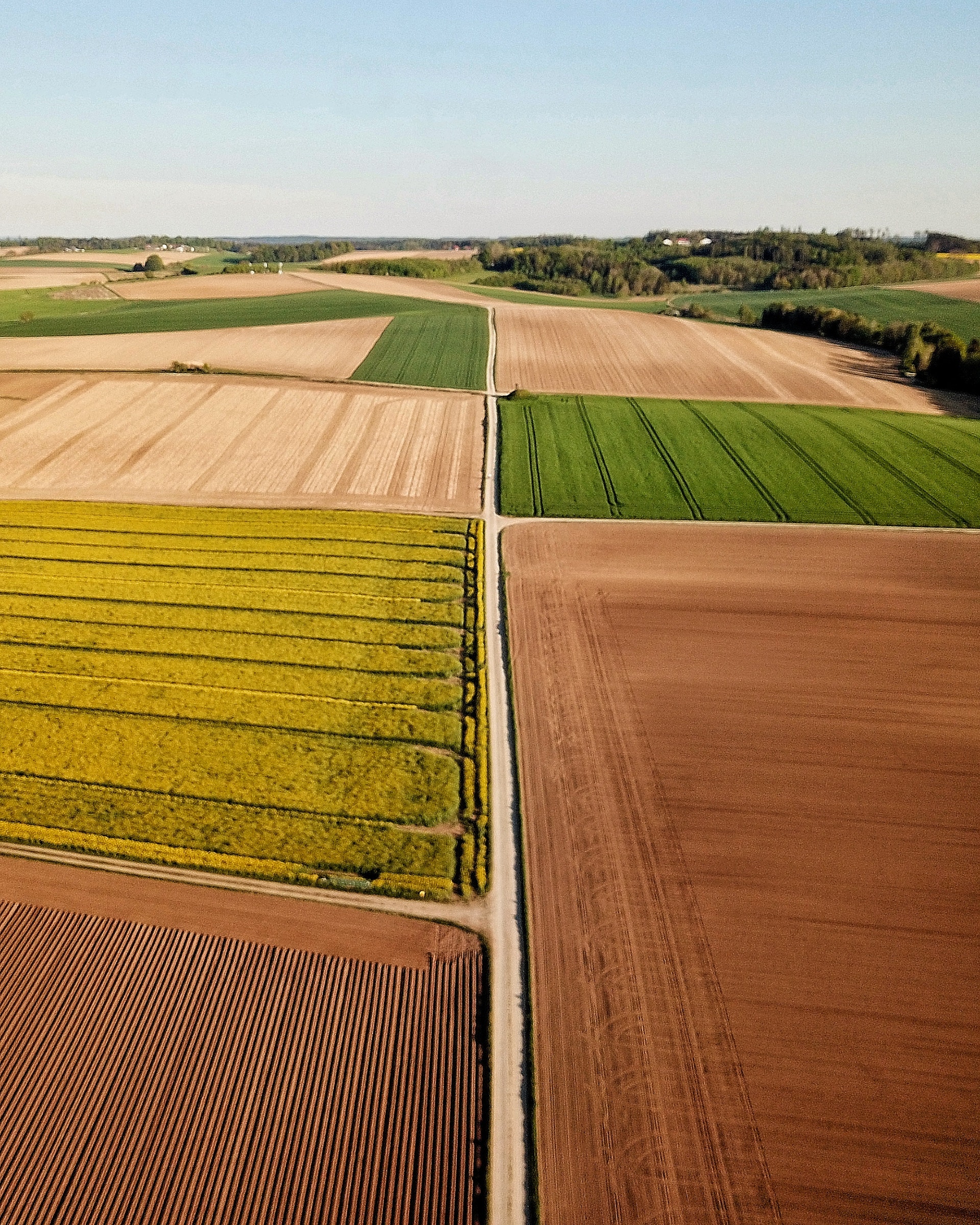 2021 MEA Agritech Report