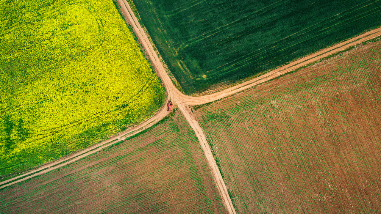 Agritech in Africa and the Middle East