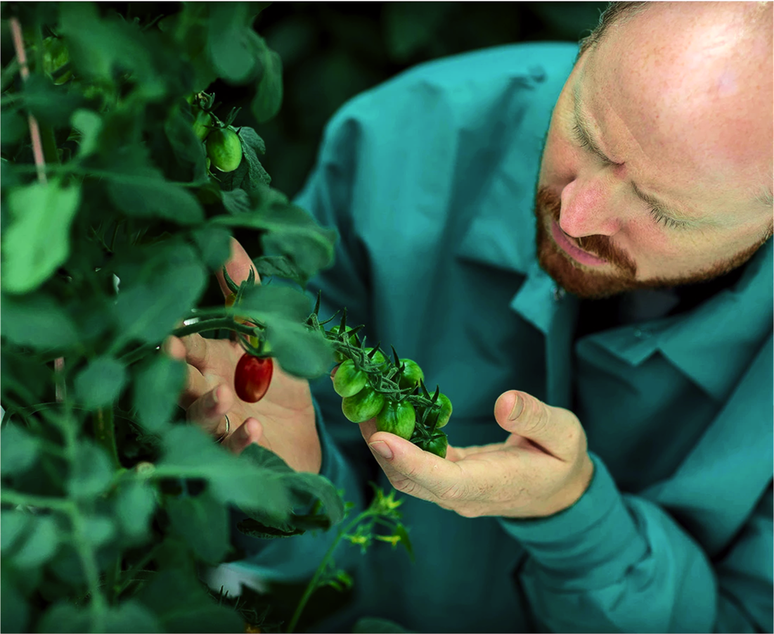 Red Sea Farms: Solving for Food and Water in a World of Diminishing Resources.