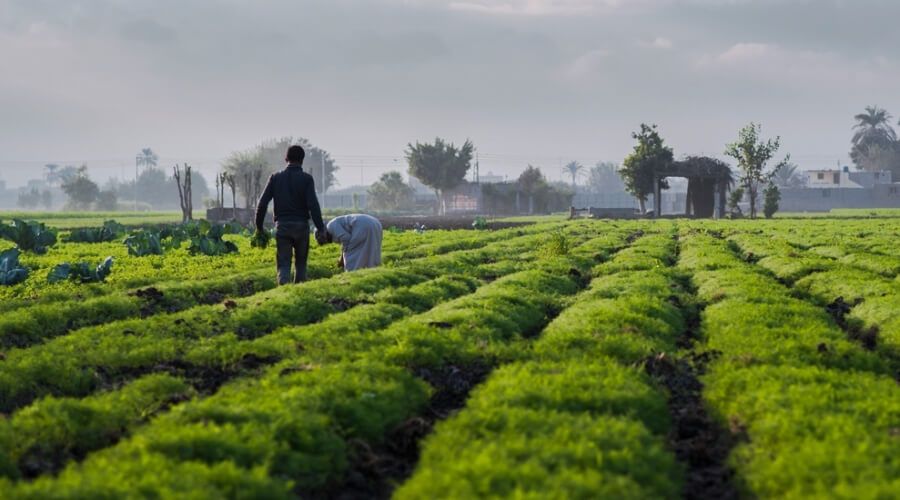 Article: Transforming access to finance in agriculture