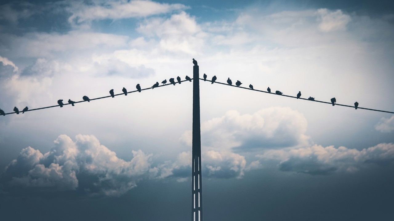 Conscious Leadership: How Grounded Founders Build Resilient Companies