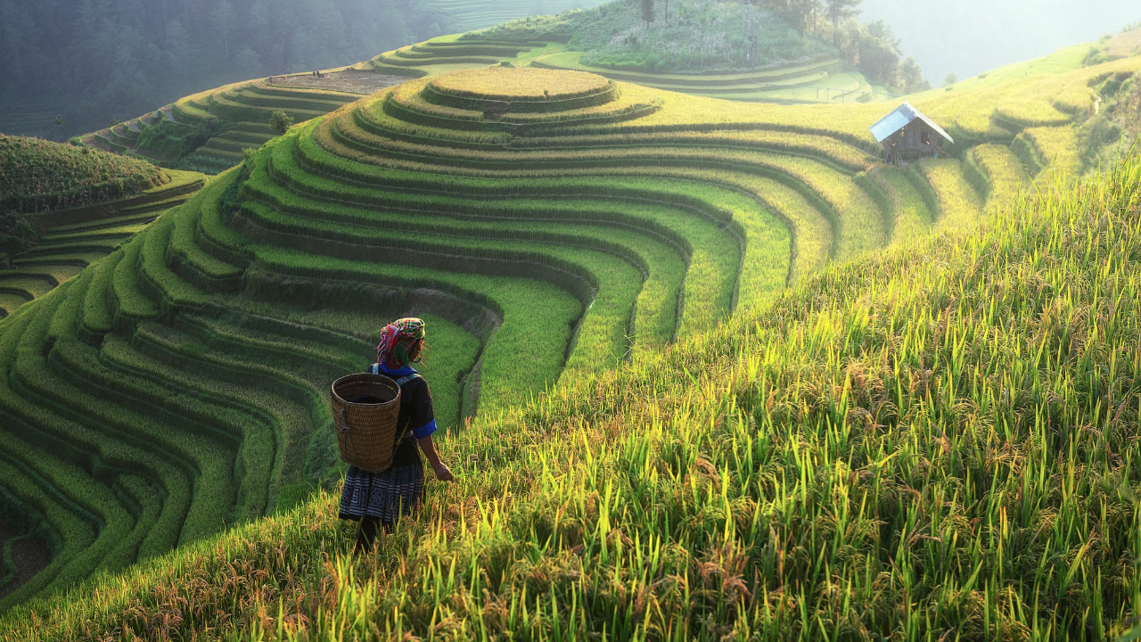 Transforming Access to Finance in Agriculture