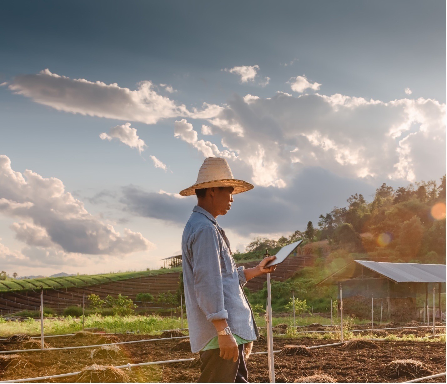 Are we finally finding a way to feed the world?